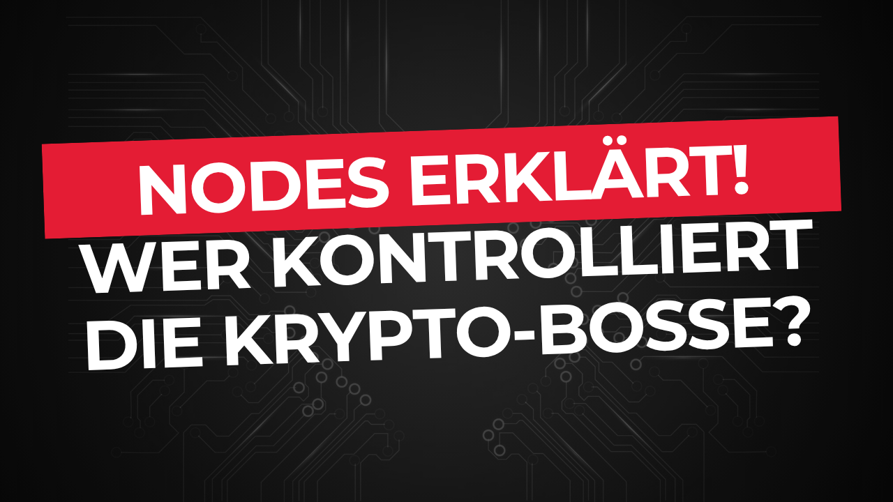 Nodes? Die fleißigen Wächter der Blockchain einfach erklärt